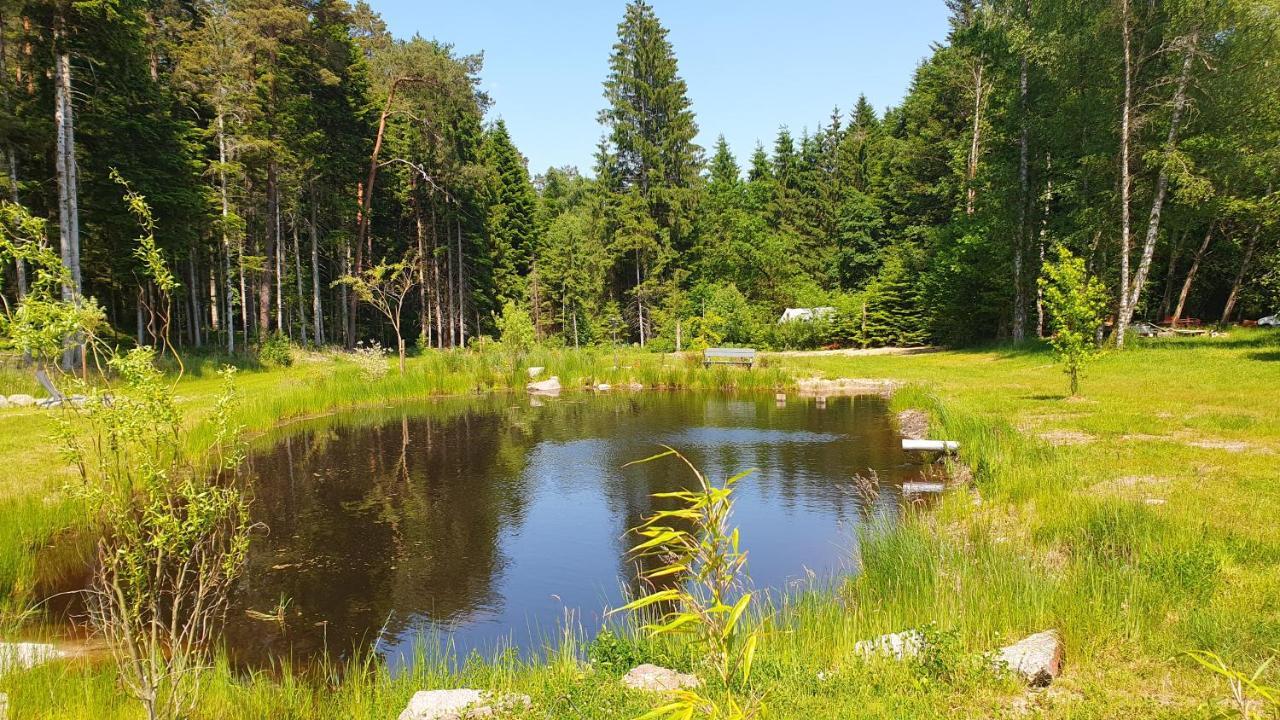 Gites Les Saules Et Les Charmes Saint-Remy (Vosges) Exterior foto