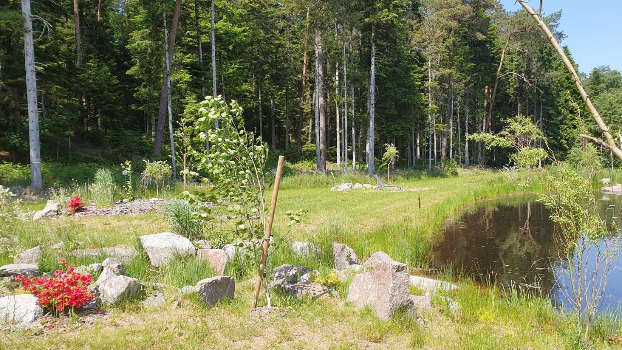 Gites Les Saules Et Les Charmes Saint-Remy (Vosges) Exterior foto